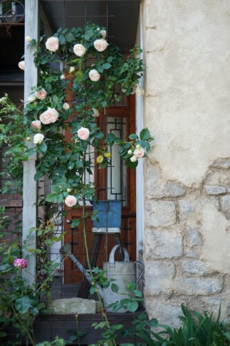 アルカイック森の工房