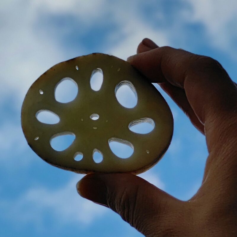 自然派農場しもかわ
