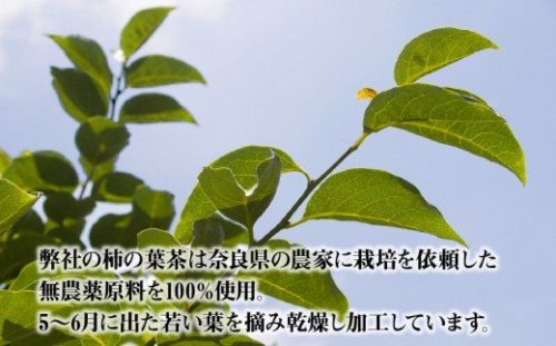 奈良産柿の葉茶 20g