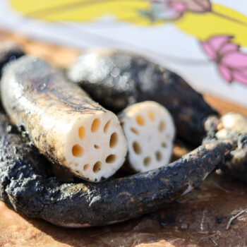 自然派農場しもかわ